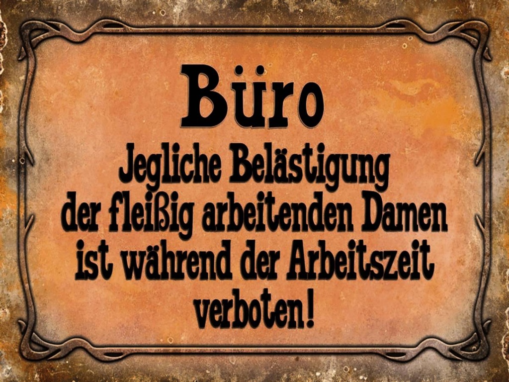 Holzschild 30x40 cm Büro Belästigung der Damen