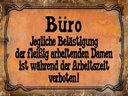 Holzschild 30x40 cm Büro Belästigung der Damen