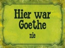 Holzschild 30x40 cm hier war Goethe nie