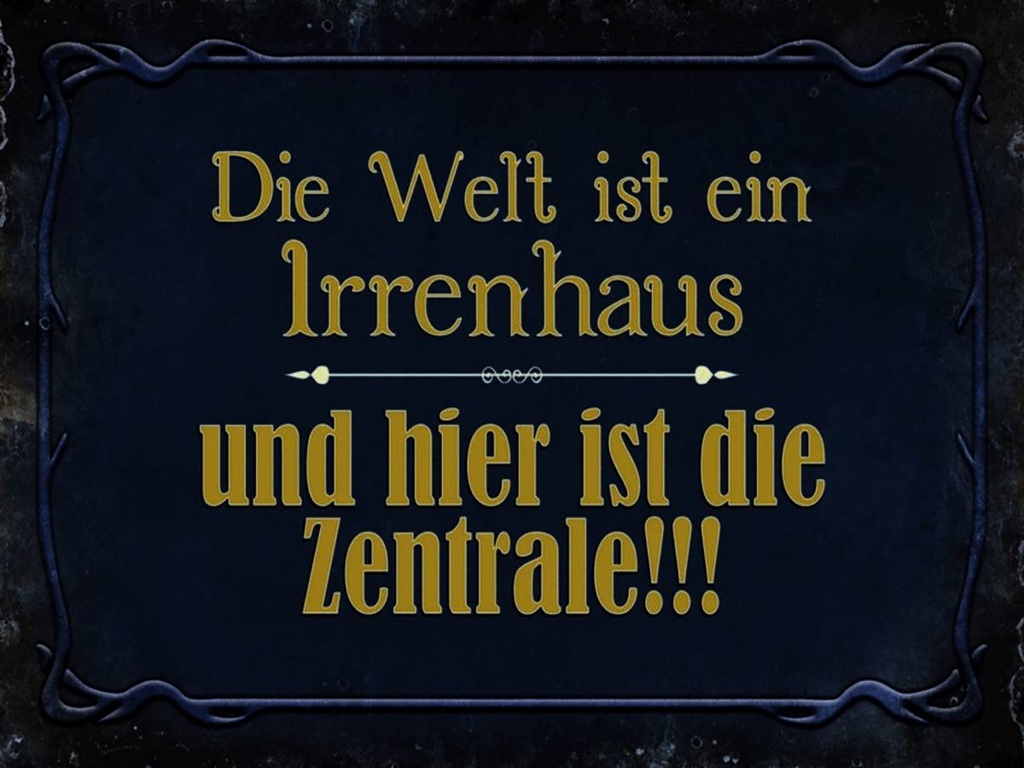 Holzschild 30x40 cm Welt ist ein Irrenhaus und