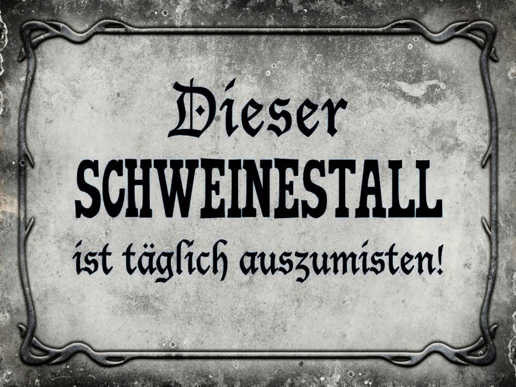 Holzschild 30x40 cm diese Schweinestall ist täglich