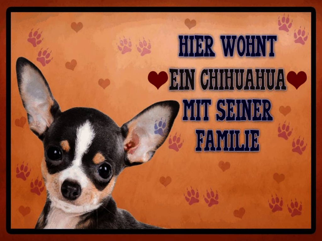 Holzschild 30x40 cm Hund hier wohnt ein Chihuahua