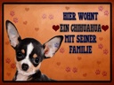 Holzschild 30x40 cm Hund hier wohnt ein Chihuahua