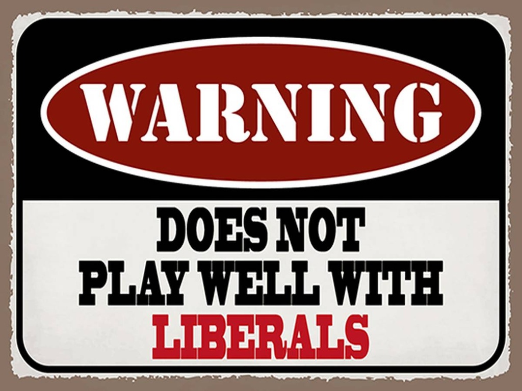 Holzschild 30x40 cm Warning does not play with liberals