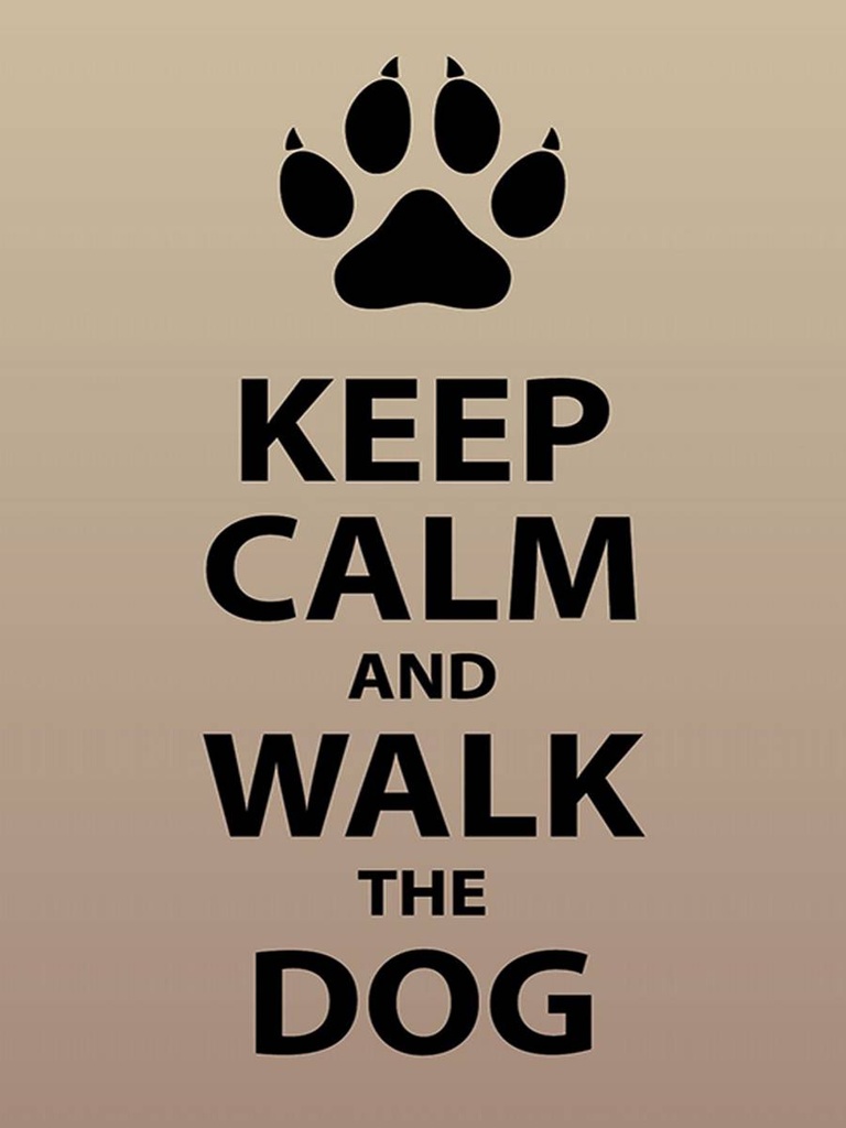 Holzschild 40x30 cm Keep calm and walk the dog