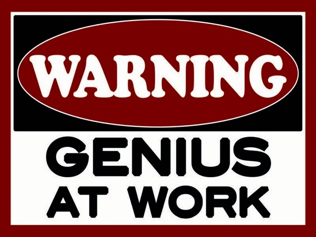 Holzschild 30x40 cm Warning Genius at work
