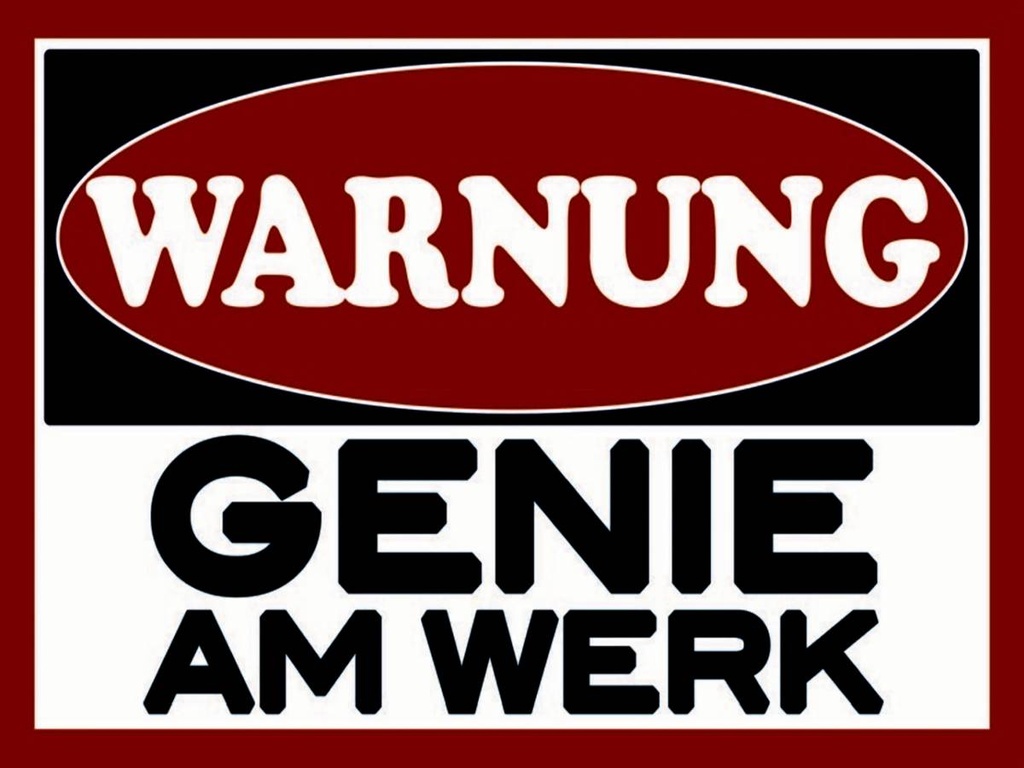 Holzschild 30x40 cm Warnung Genie am Werk