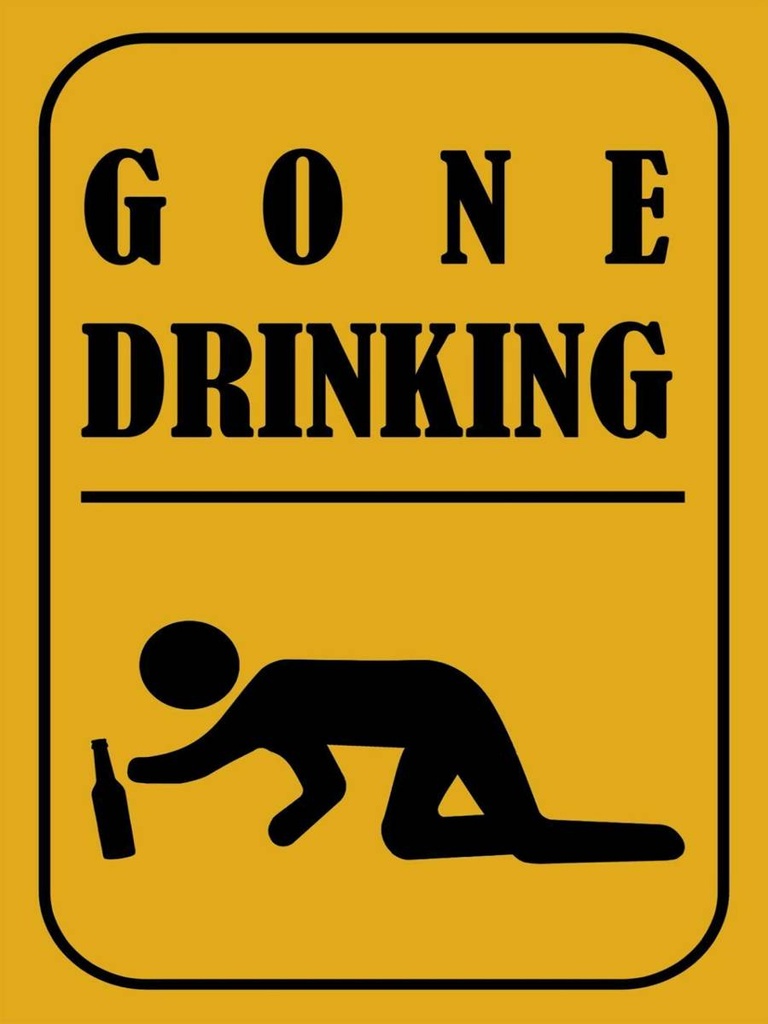 Holzschild 40x30 cm Alkohol gone drinking lustig
