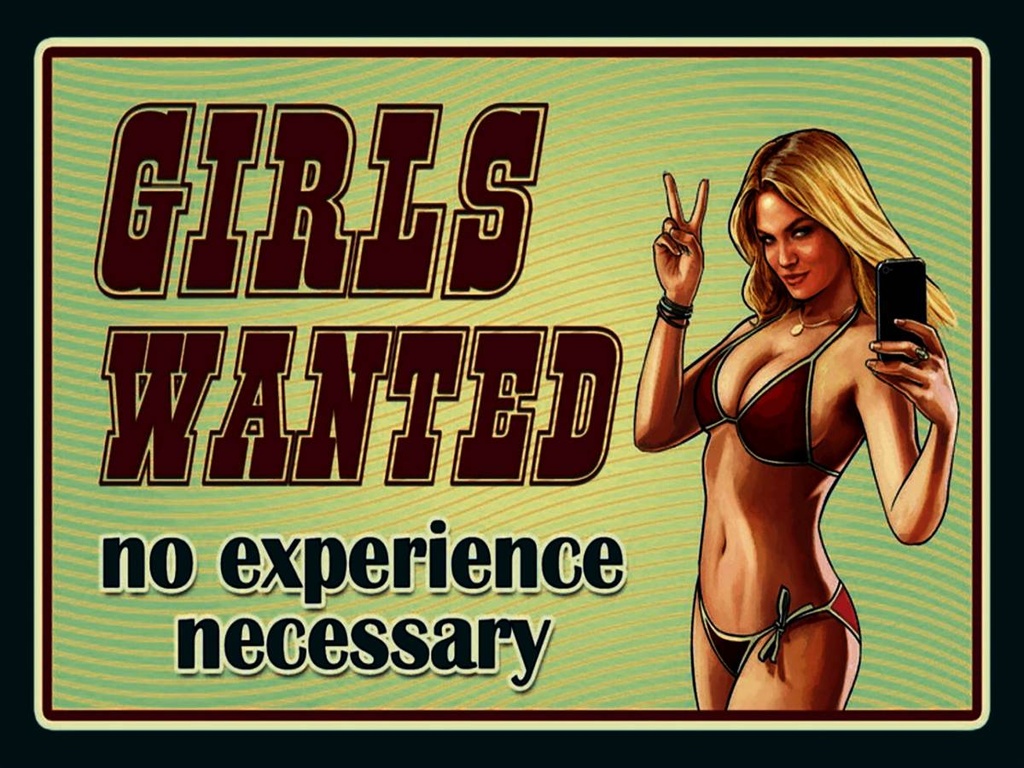 Holzschild 30x40 cm Pinup Girls wanted no experience