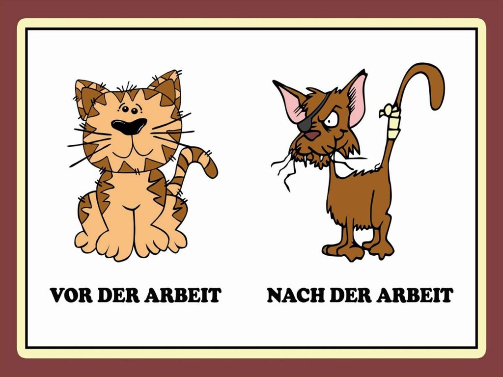 Holzschild 30x40 cm Katze vor Arbeit nach der Arbeit lustig