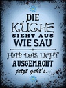 Holzschild 40x30 cm Küche sieht aus wie Sau hab das