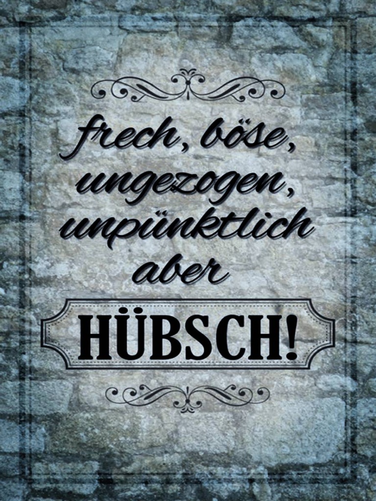 [LA-1791520-H] Holzschild 40x30 cm frech böse ungezogen aber hübsch