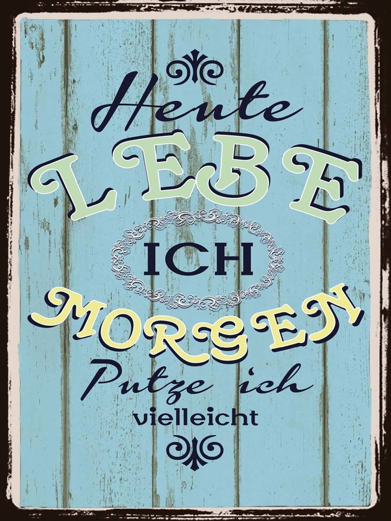 Holzschild 40x30 cm heute lebe ich morgen putze ich
