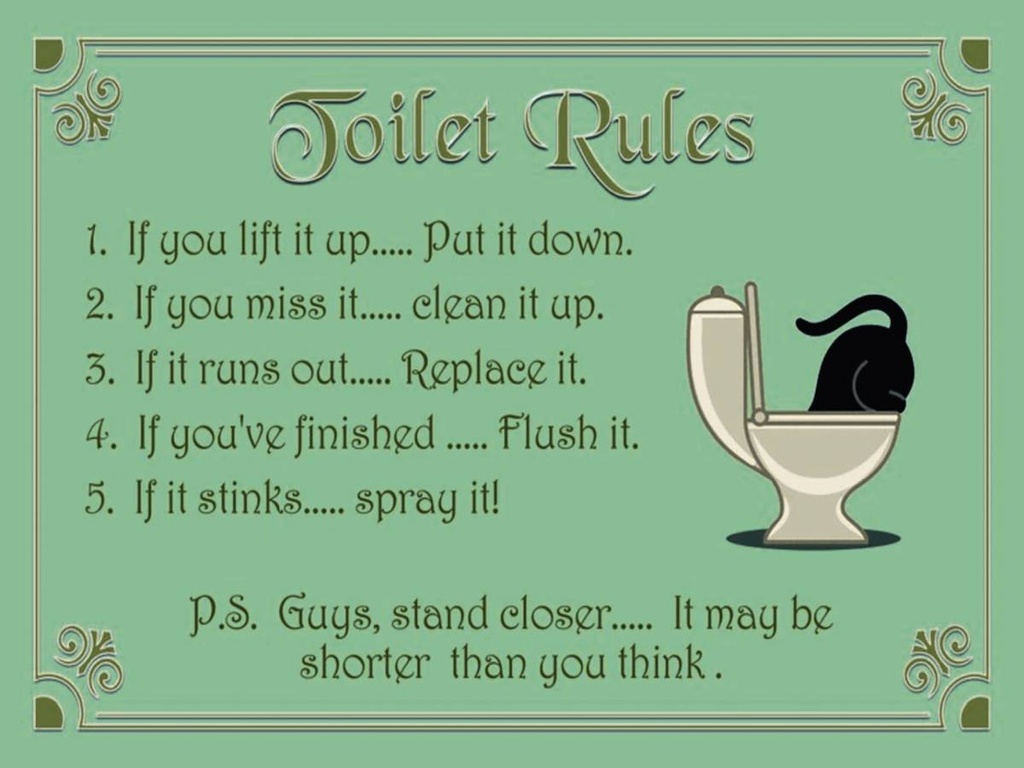 Holzschild 30x40 cm Toilet Rules if you lift it up