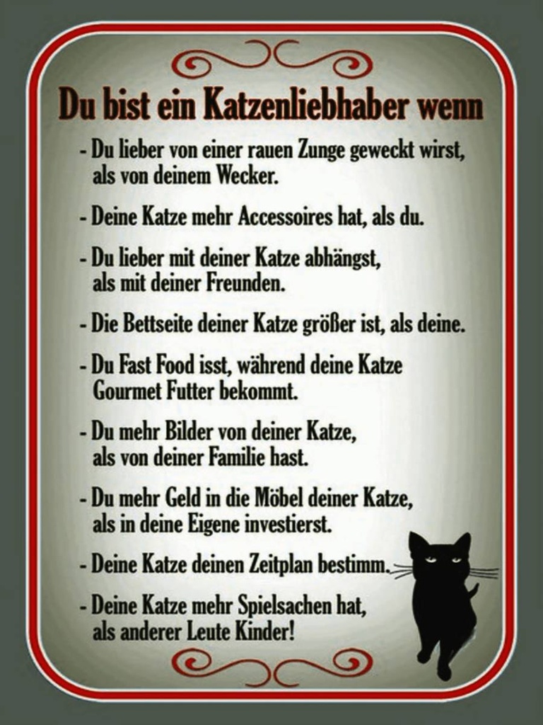 Holzschild 40x30 cm du bist Katzenliebhaber wenn