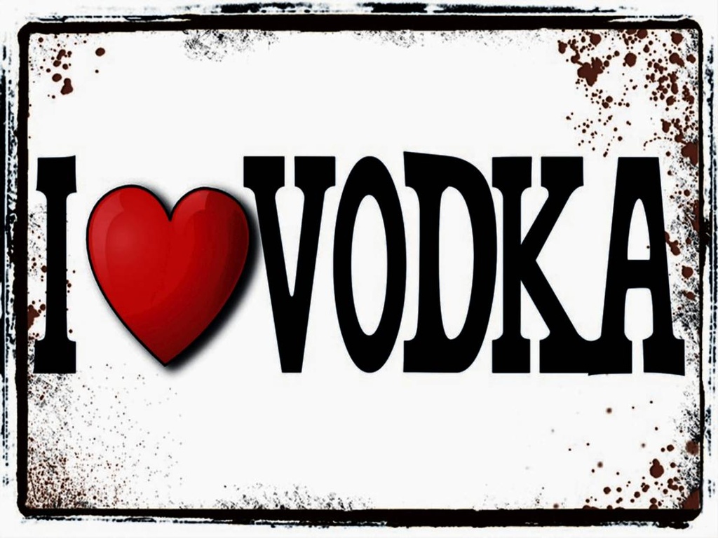 Holzschild 30x40 cm Alkohol i love Vodka
