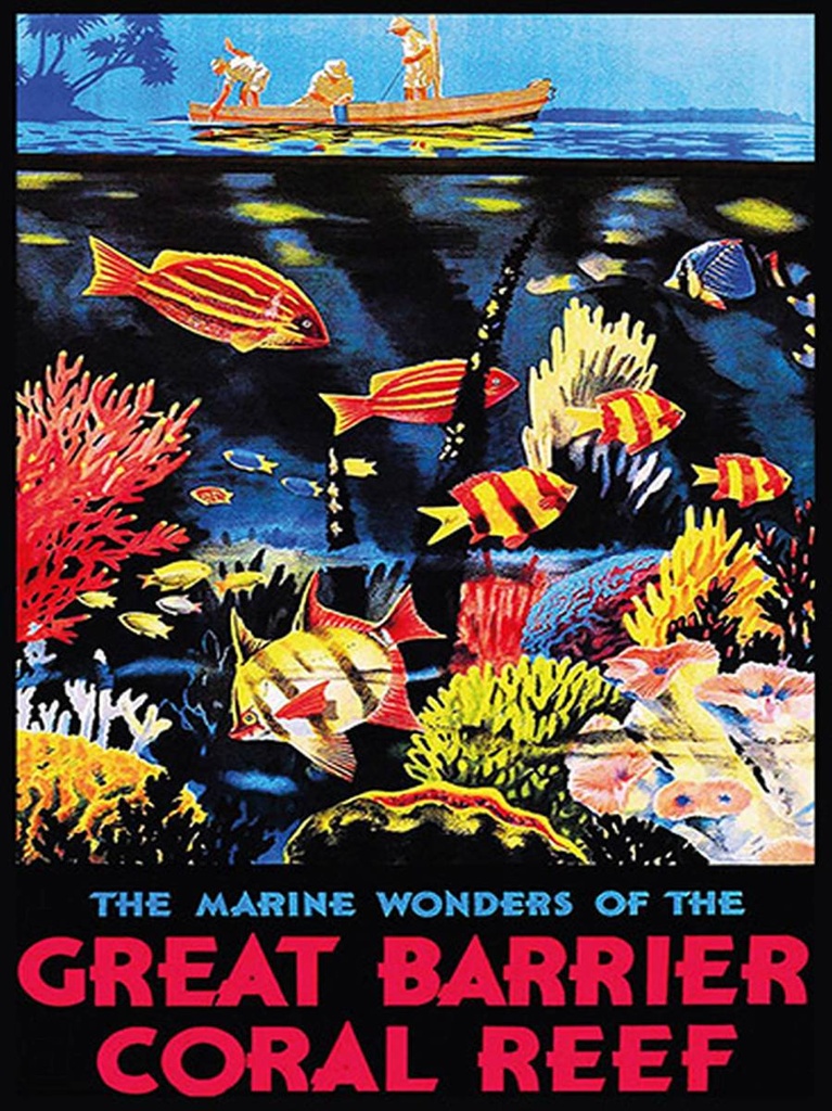 Holzschild 40x30 cm creat barrier coral reef