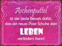 Holzschild 30x40 cm Aschenputtel Schuhe ändern Leben
