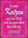 Holzschild 40x30 cm so viele Katzen auf der Welt