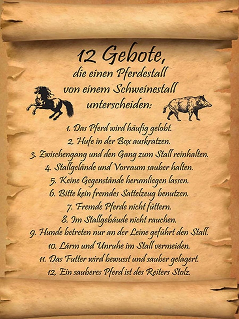 Holzschild 40x30 cm Gebote Pferdestall Schweinestall