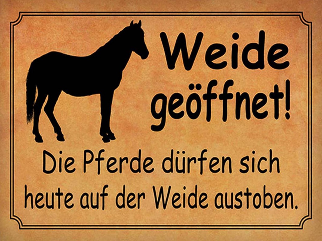 Holzschild 30x40 cm Weide geöffnet Pferde dürfen