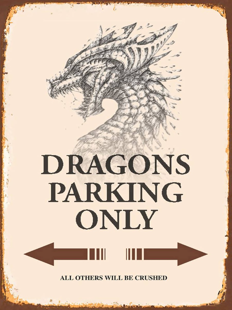 Holzschild 40x30 cm Dragons parking only