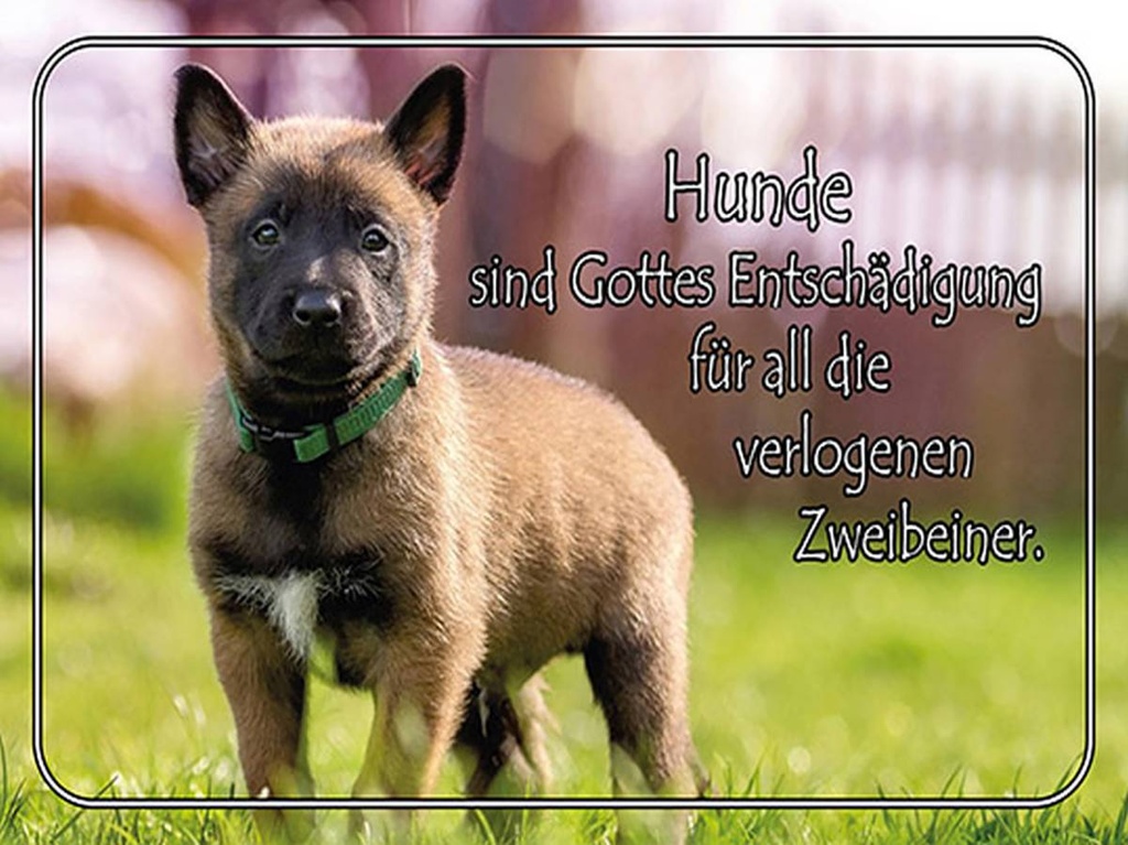 Holzschild 30x40 cm Hunde sind Gottes Entschädigung