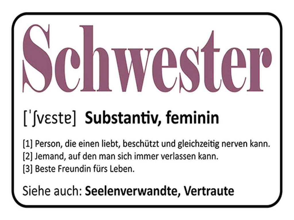 Holzschild 30x40 cm Schwester Person die einen liebt