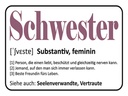 Holzschild 30x40 cm Schwester Person die einen liebt