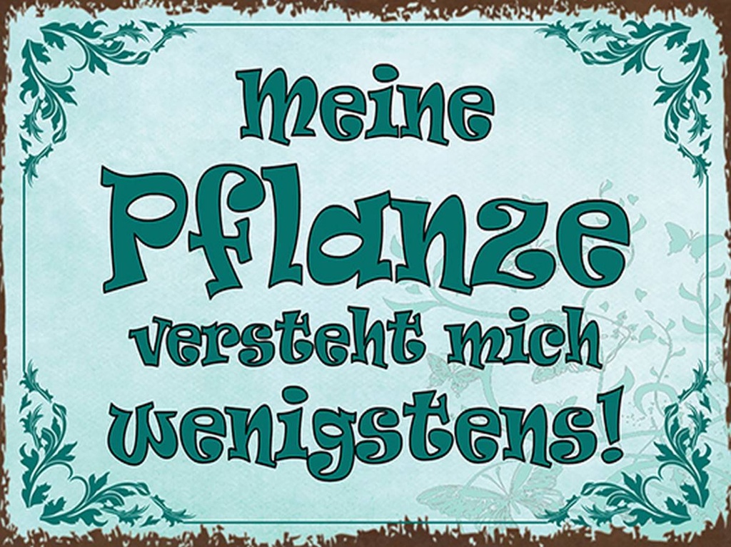 Holzschild 30x40 cm meine Pflanze vesteht mich