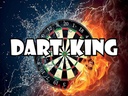 Holzschild 30x40 cm Darts Dart King