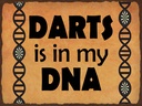 Holzschild 30x40 cm Darts is in my DANN