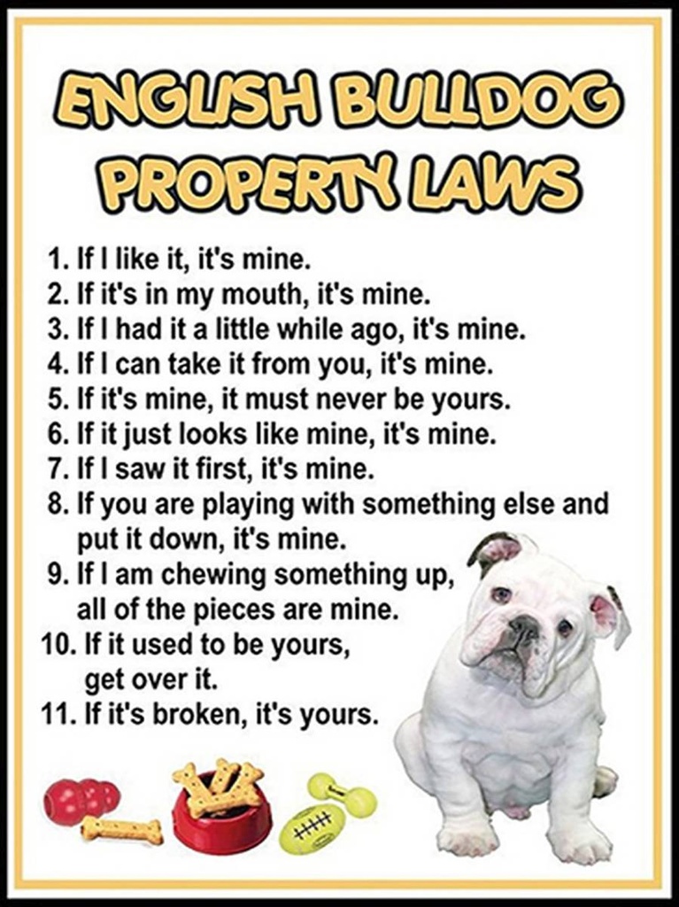 [LA-1792051-H] Holzschild 40x30 cm english bulldog property laws