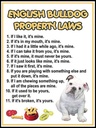 Holzschild 40x30 cm english bulldog property laws