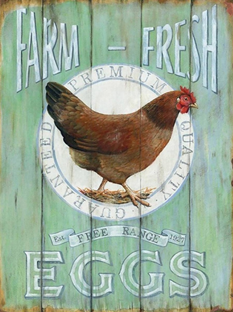 [LA-1792103-H] Holzschild 40x30 cm Huhn Farm fresh Eggs free range