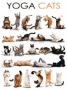 Holzschild 40x30 cm Tiere Yoga Cats Katzen