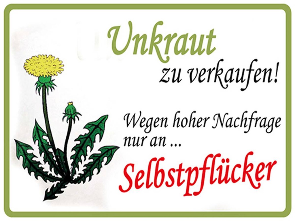[LA-1792131-H] Holzschild 30x40 cm Unkraut verkaufen Selbstpflücker