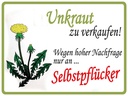 Holzschild 30x40 cm Unkraut verkaufen Selbstpflücker
