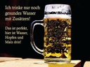 Holzschild 30x40 cm trinke nur gesundes Wasser Bier