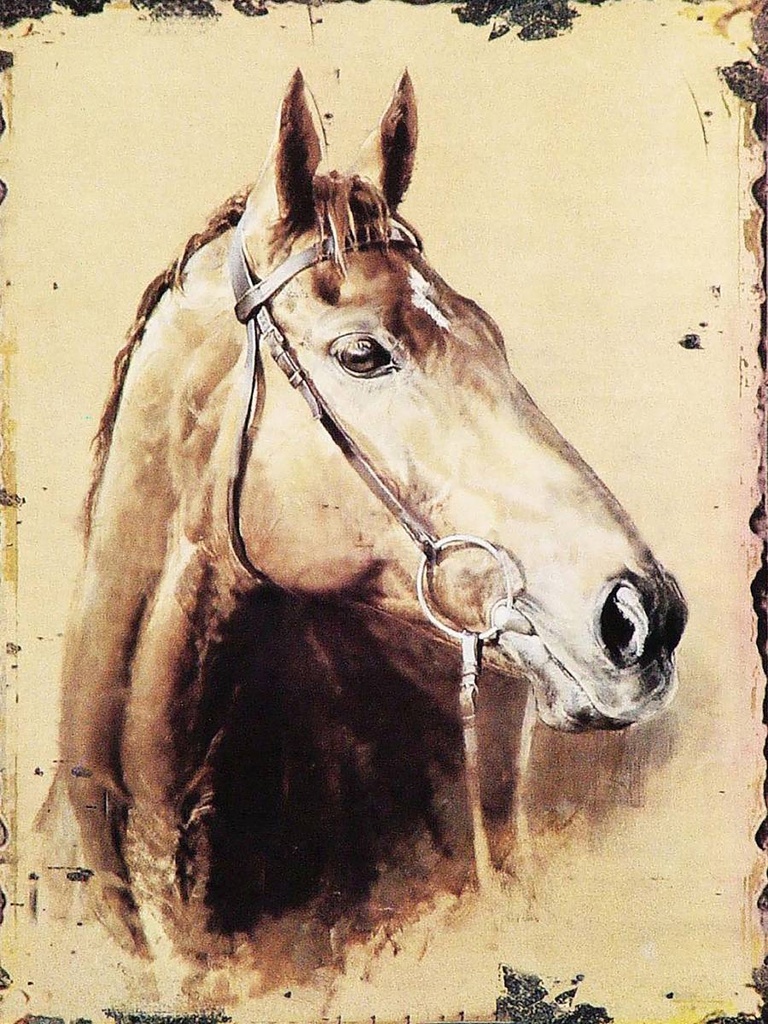 [LA-1792236-H] Holzschild 40x30 cm Retro Portrait Pferd Kopf Bildmotiv