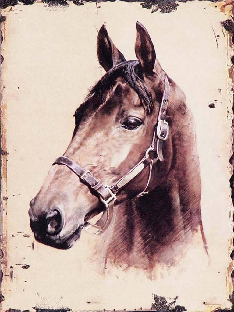 [LA-1792237-H] Holzschild 40x30 cm Retro Portrait Pferd Kopf Bildmotiv