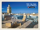 Holzschild 30x40 cm Tunis Tunesien Medina Moschee Bildmotiv Reisemotiv Abenteuer Reisen