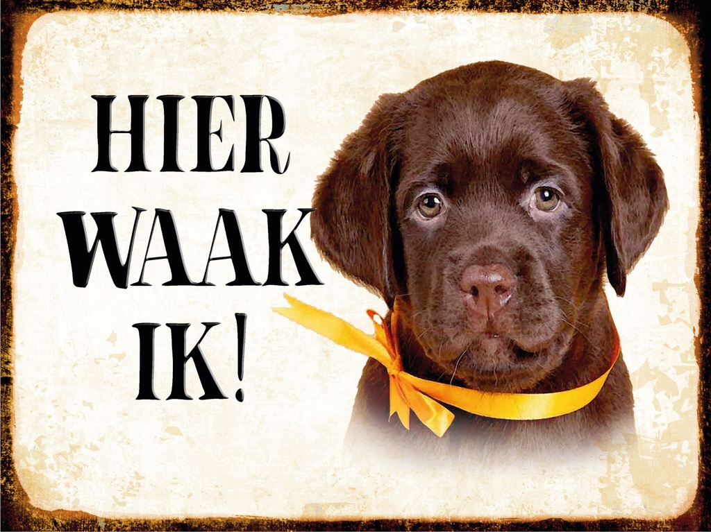 [LA-1812467-H] Holzschild 30x40 cm holländisch Hier Waak ik Labrador Puppy Deko Schild
