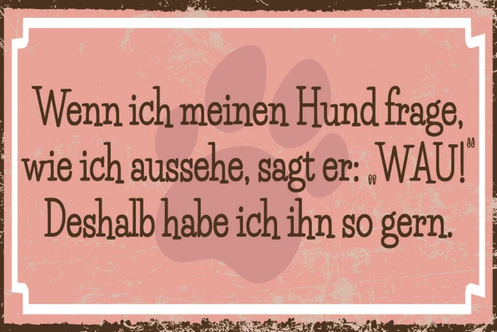 [LA-1812608-H] Holzschild 30x40 cm Hund fragen WAU! Schild