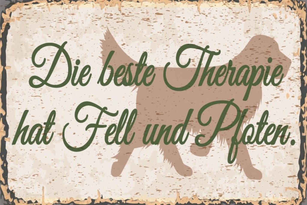 [LA-1812649-H] Holzschild 30x40 cm Beste Therapie hat Fell und Pfoten Schild