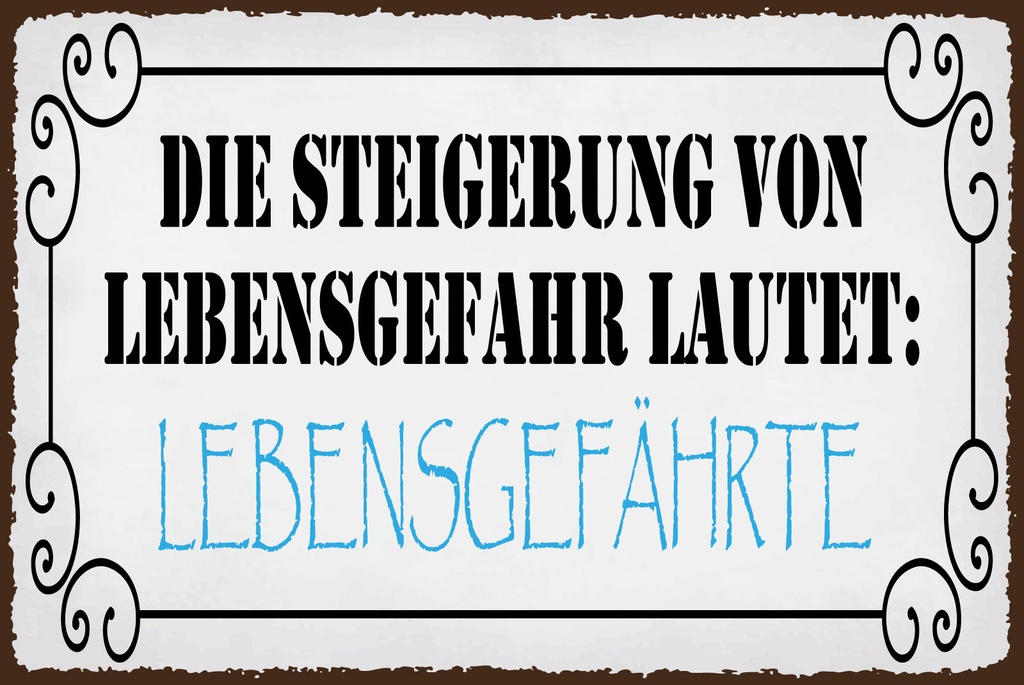 [LA-1812742-H] Holzschild 30x40 cm Steigerung von Lebensgefahr ist Lebensgefährtin