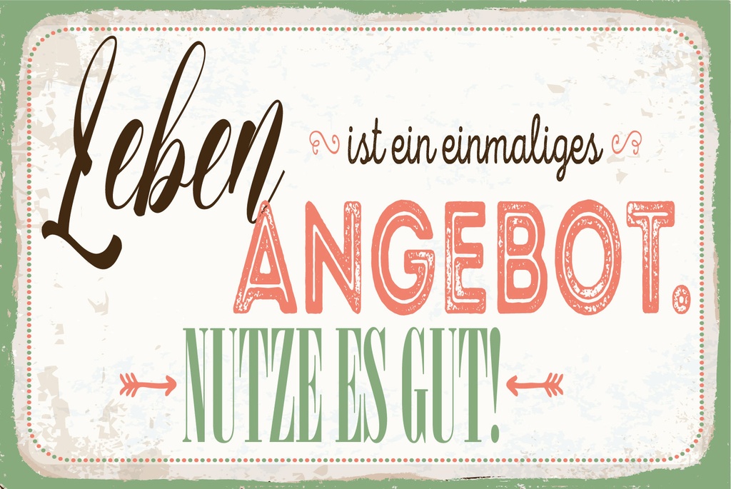 [LA-1812830-H] Holzschild 30x40 cm Leben ist ein einmaliges Angebot Nutze es gut Schild