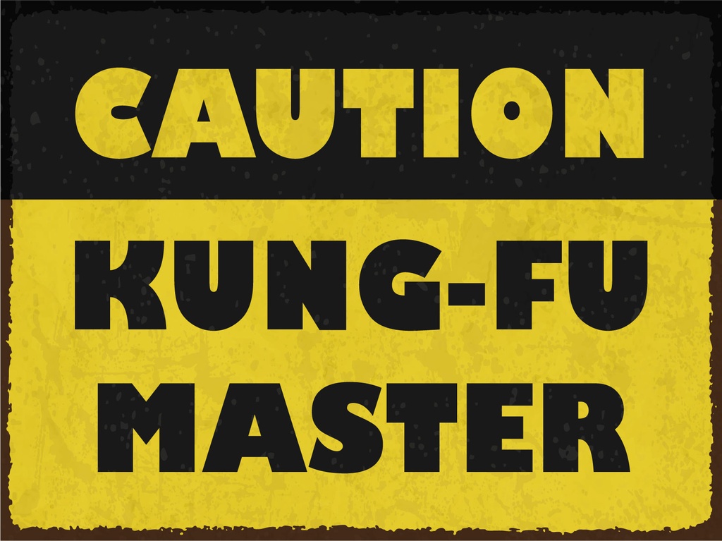 [LA-1812904-H] Holzschild 30x40 cm Caution Kung Fu Master Deko Schild