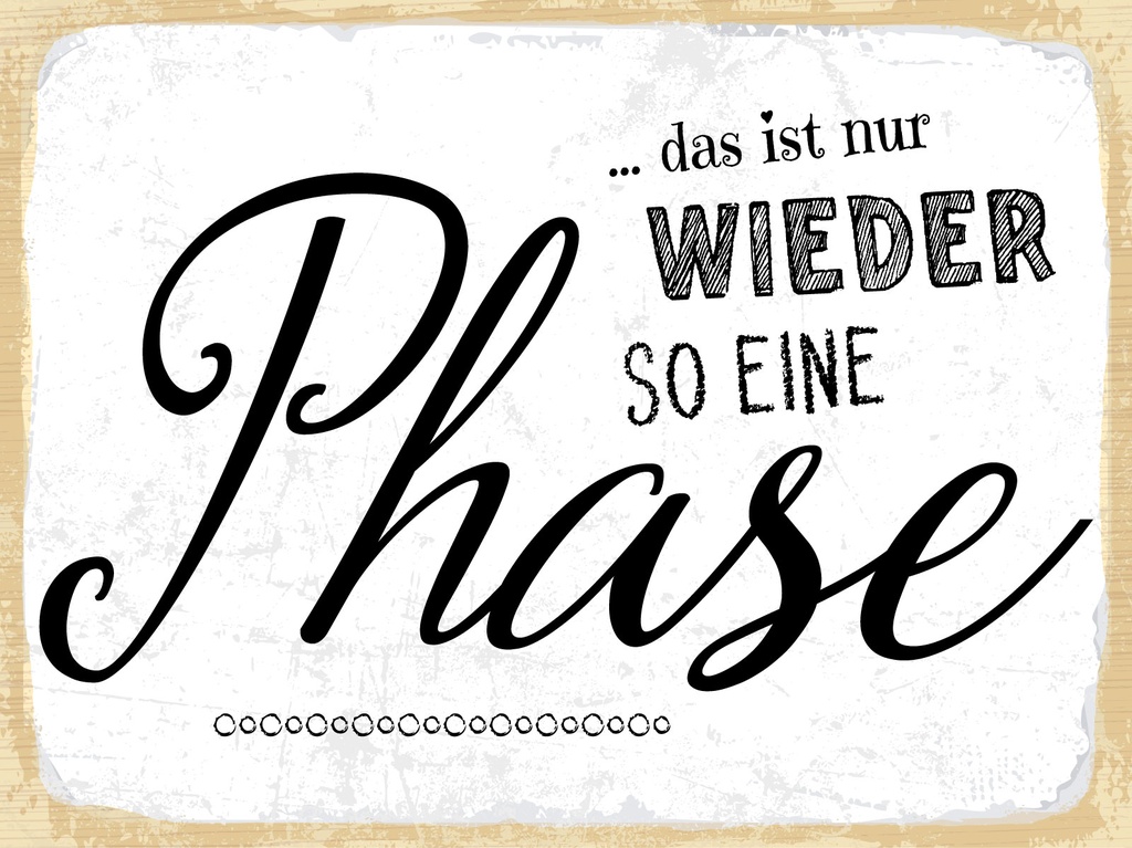 [LA-1812959-H] Holzschild 30x40 cm nur wieder so eine Phase Deko Schild