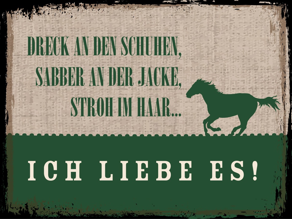 [LA-1813085-H] Holzschild 30x40 cm Stroh im Haar Ich liebe es Pferd Deko Schild